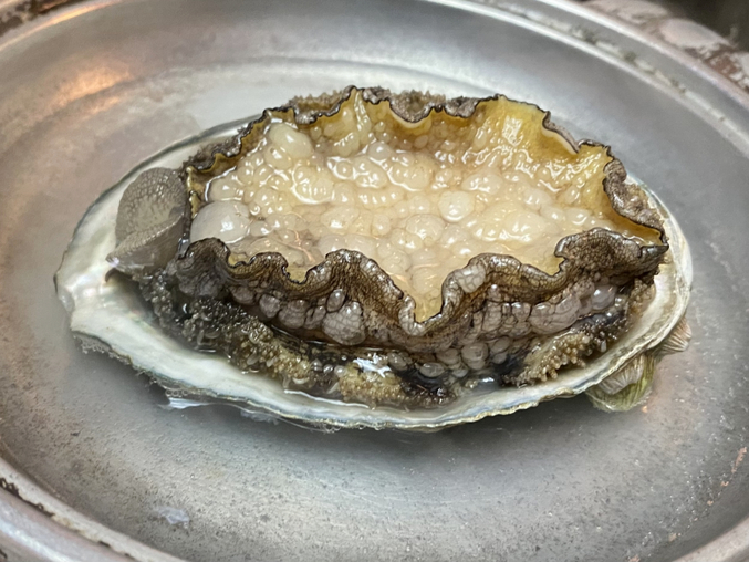 【海鮮の宴】「活鮑の踊り焼き」＆「うに茶碗蒸し」を贅沢に味わう♪豪華W特典付（夕朝バイキング）
