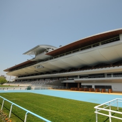 函館競馬場のスタンド外観。熱い勝負を見届けよう！