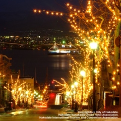 【冬のイルミネーション】函館の有名な坂道をイルミネーションで彩ります