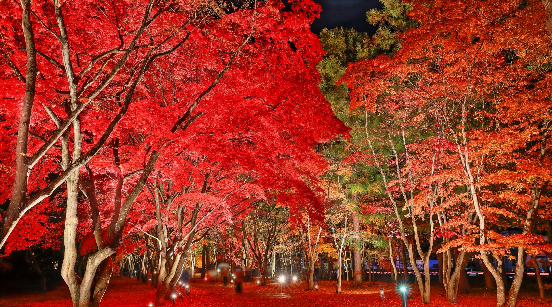 【秋】香雪園～道南屈指の紅葉をお楽しみ下さい。（ホテルから車で15分）