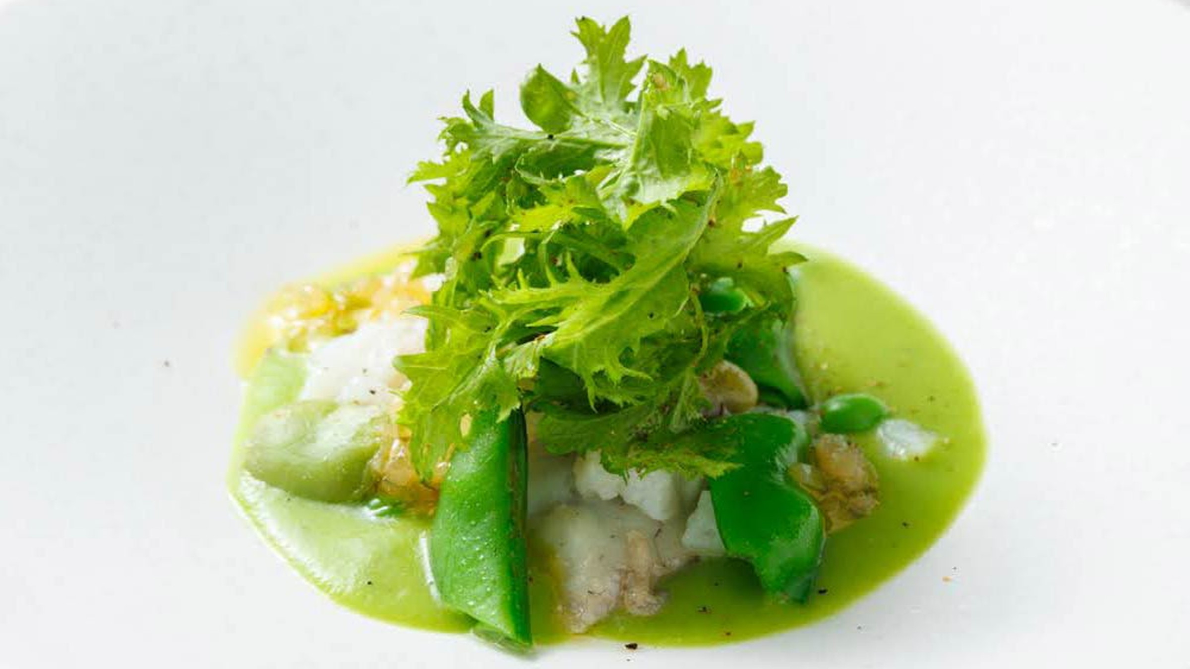 ランチ（イメージ）