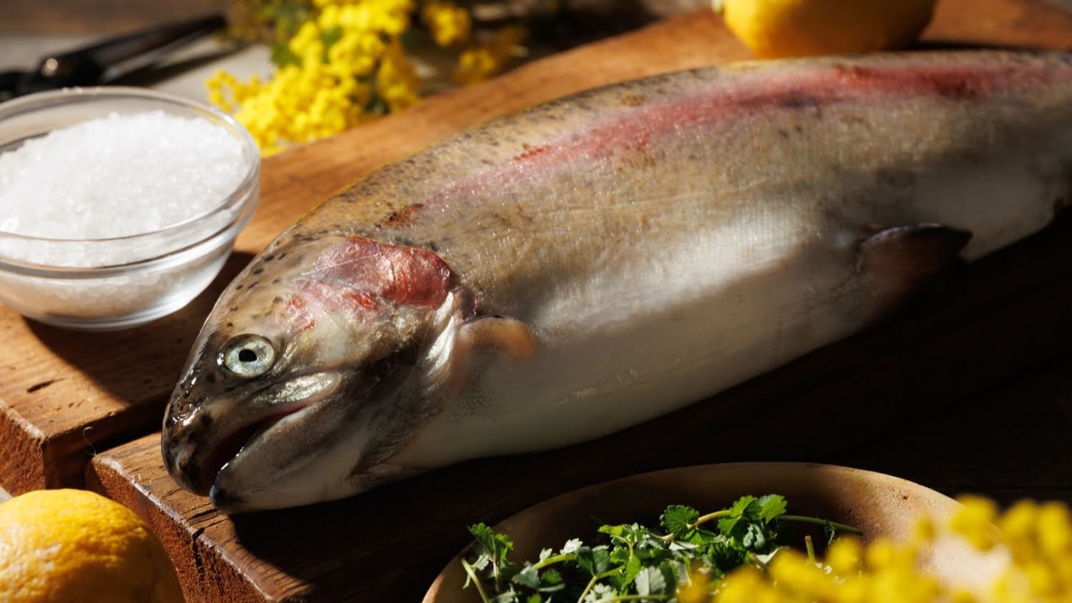 【開業25周年記念】お試しオーベルジュ 2食付きプラン