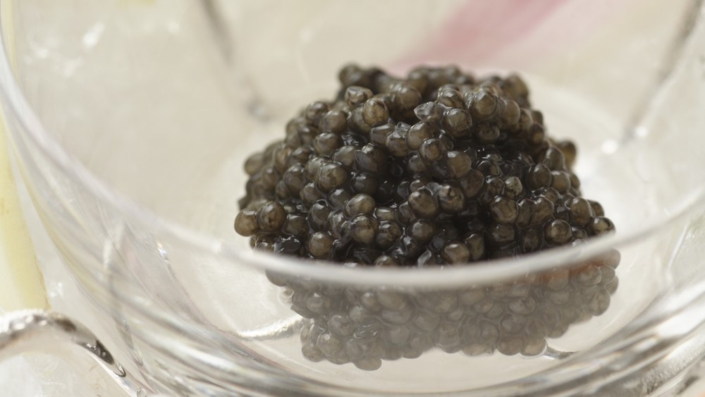 【2食付き/Exception】一生の記憶となる 北野が誇る至高の晩餐＆世界一の朝食