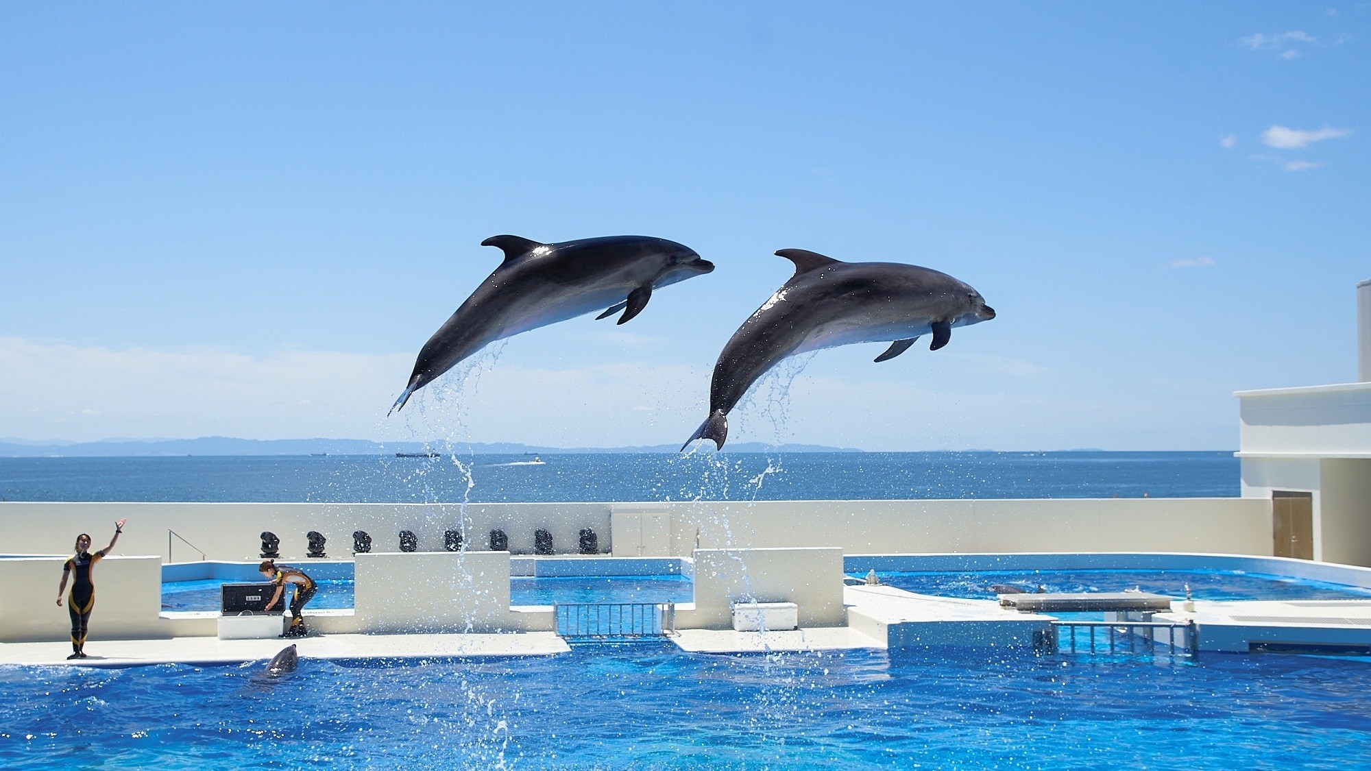 神戸須磨シーワールド入館券付き宿泊プラン＜朝食付＞