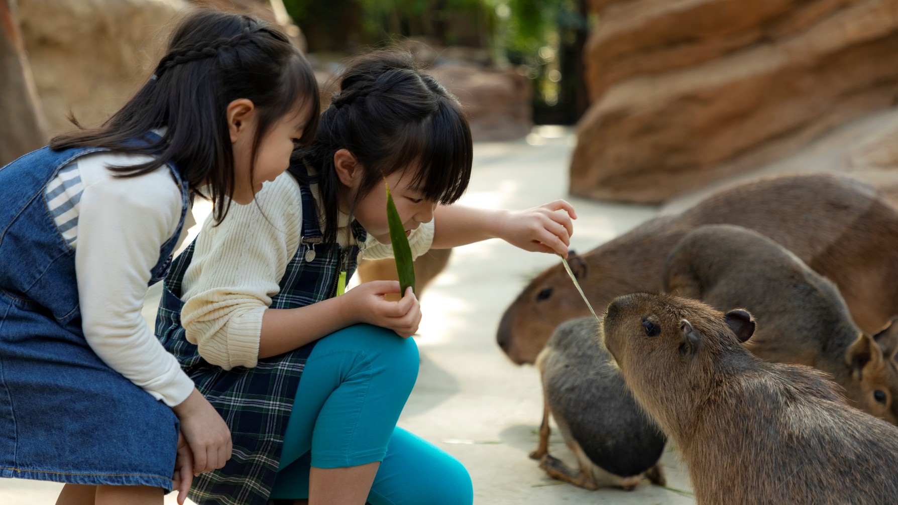 【ファミリー・カップルにおすすめ】珍しい動物に会える！神戸どうぶつ王国＆宿泊プラン＜朝食付＞