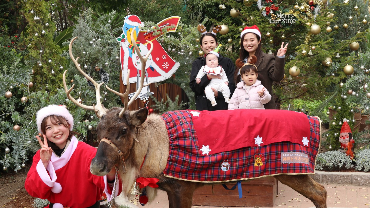 【1日3室限定！】トナカイグリーティング付！神戸どうぶつ王国＆宿泊プラン＜朝食付＞