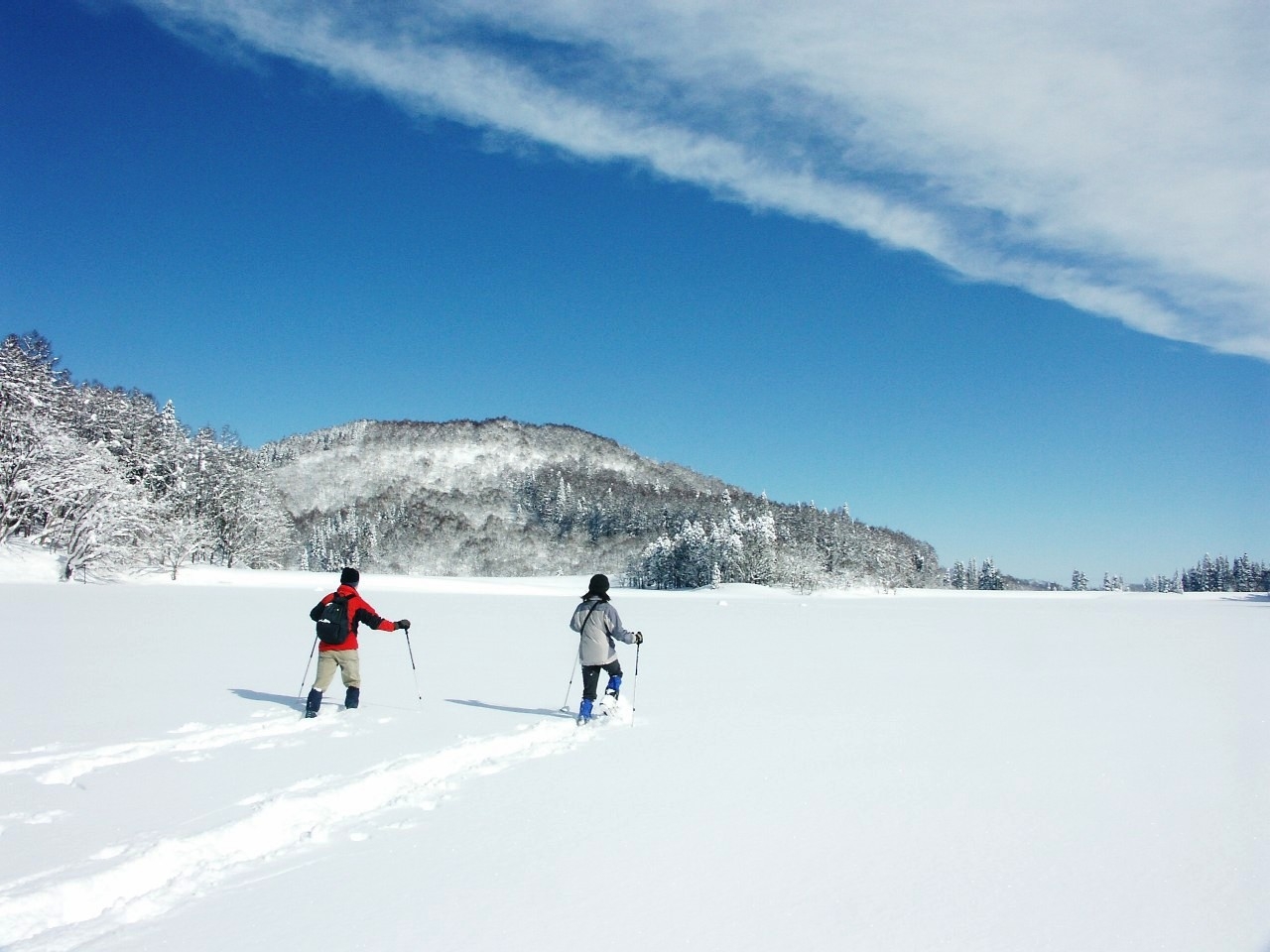 斑尾高原：： 春スキーとスノーシューを楽しむ宿泊プラン