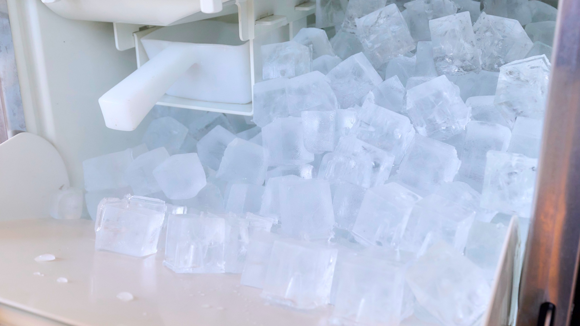 ・【製氷機】アイスペールにて無料で氷をご用意いたします。フロントまでご用命ください