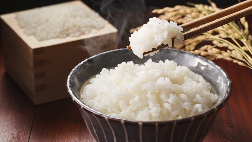 【期間限定】今だけ！朝食付きがお得！ベストプライスプラン＜朝食付＞