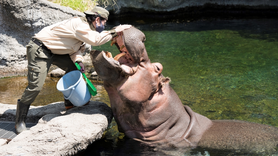 天王寺動物園　【写真提供：（公財）大阪観光局】