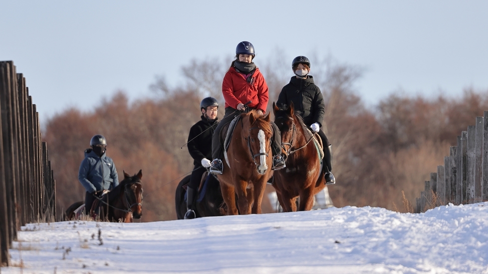 【乗馬体験】ホロシリ乗馬クラブ林間コースプラン＜季節のコースメニュー＞