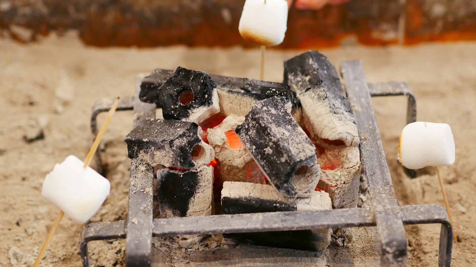 焼きマシュマロで甘味もチャージ