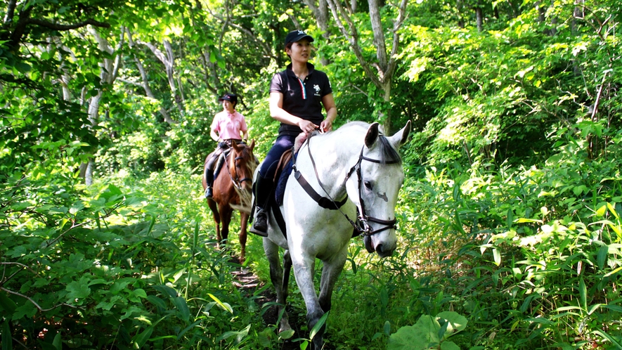 【夏】乗馬トレッキング　馬と一緒に森を散策