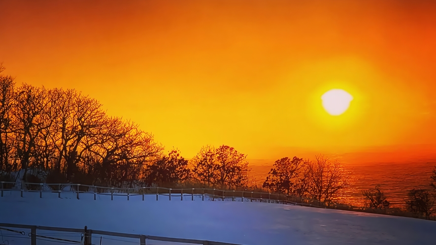 冬の夕陽