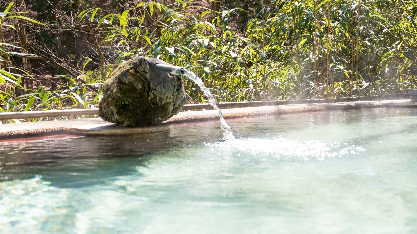 【1泊夕食付】夕食は旅館で信州会席｜朝はゆっくり過ごしたい方へ