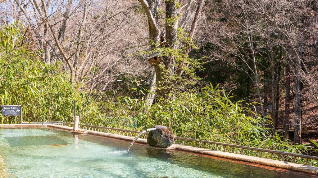 温泉で治そう!! 腰痛・膝痛・冷え性・便秘症・高血圧の緩和と回復プラン【温泉】