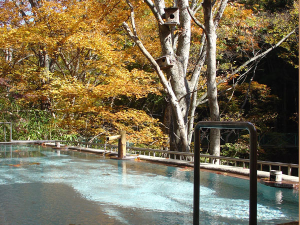 Autumn, Bunshuyu mixed bathing open-air bath (treated as a welfare bath)