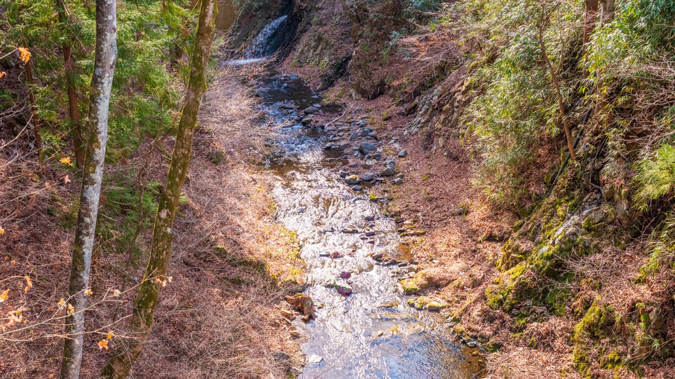 【医学的エビデンスあり・湯治プラン】3泊以上でゆったり滞在｜鹿教湯温泉で静養の温泉旅