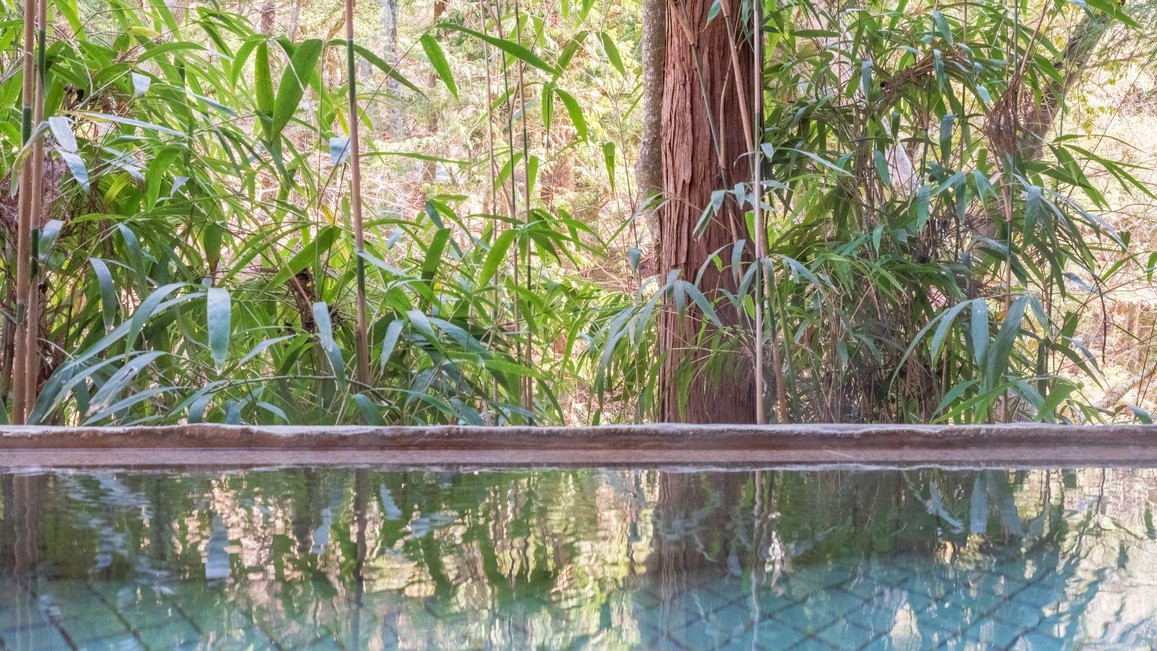 【ファミリー】育休応援　“温泉デビュー”の乳幼児向けプラン