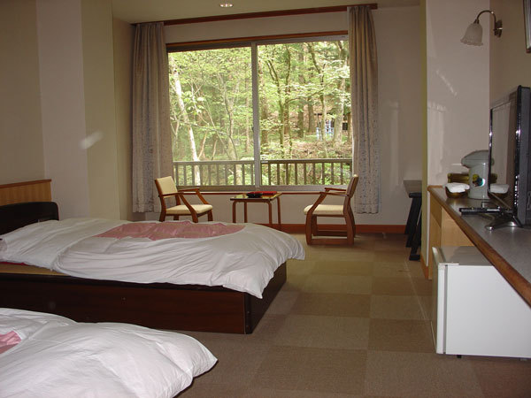 Wheelchair-accessible Western-style room