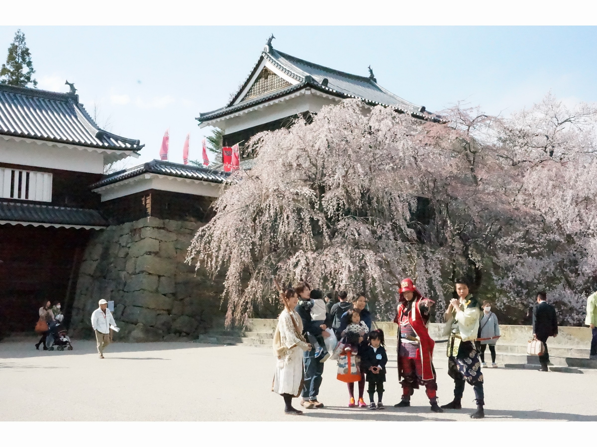 上田城跡公園桜祭りと真田武将隊