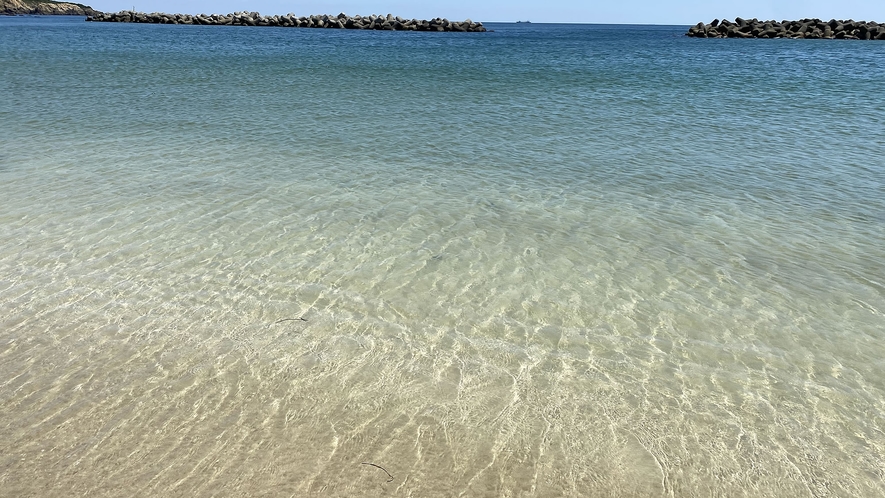千鳥ヶ浜の海水は透明度抜群！水質ＡＡ最高ランクの海