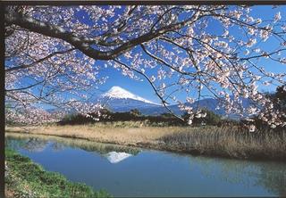 春の富士山