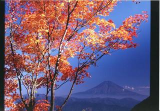 秋の富士山