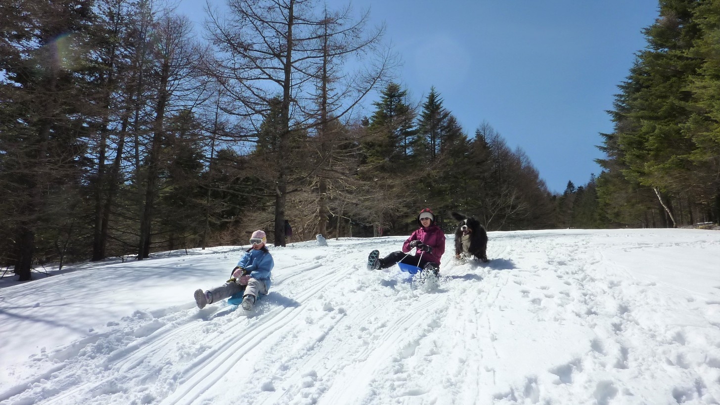 ★愛犬と楽しむ八ケ岳！清里の自然をワンちゃんと満喫！★【1泊2食付プラン】♪