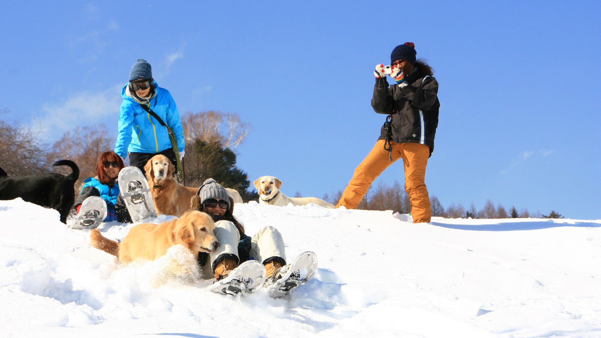 ★愛犬と楽しむ八ケ岳！清里の自然をワンちゃんと満喫！★【1泊朝食付プラン】♪