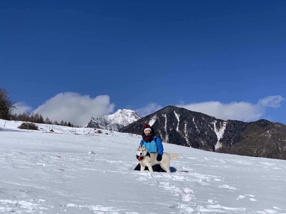 ★愛犬と楽しむ八ケ岳！清里の自然をワンちゃんと満喫！★【素泊りプラン】♪