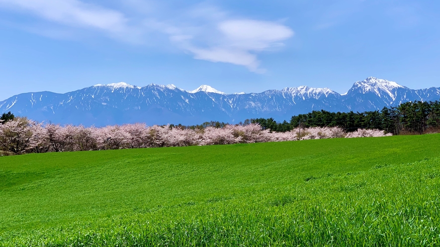 ペンション周辺の景色（春）