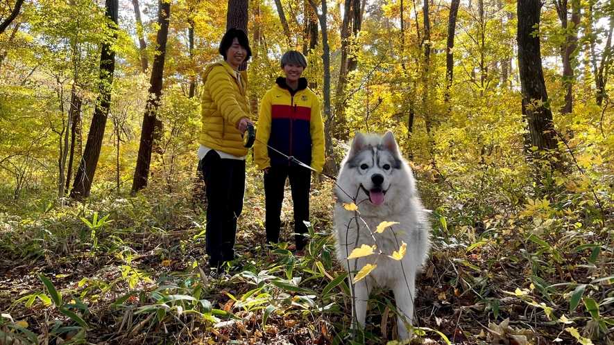 愛犬と楽しむ・森歩き