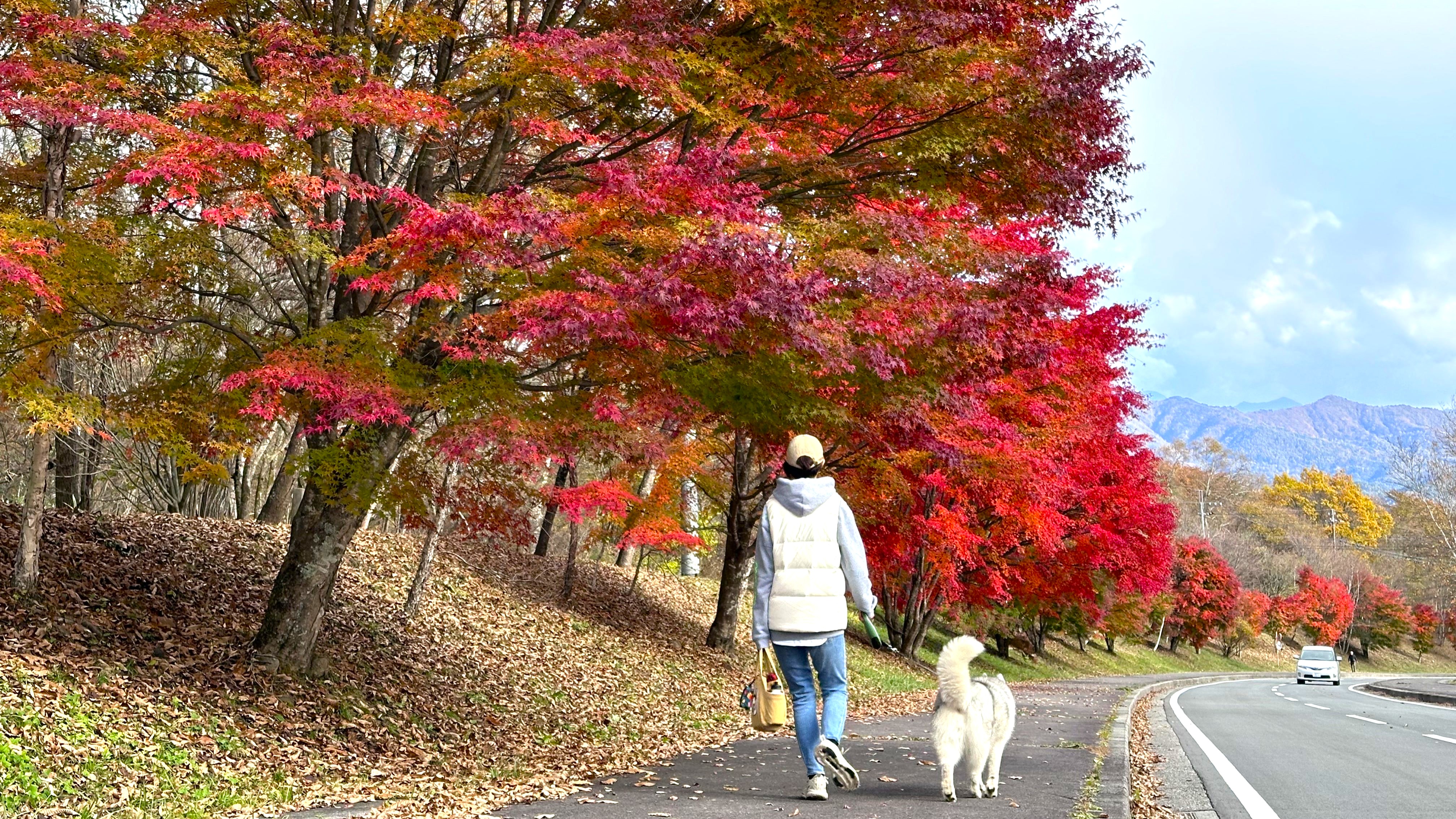 秋のポールラッシュ通り