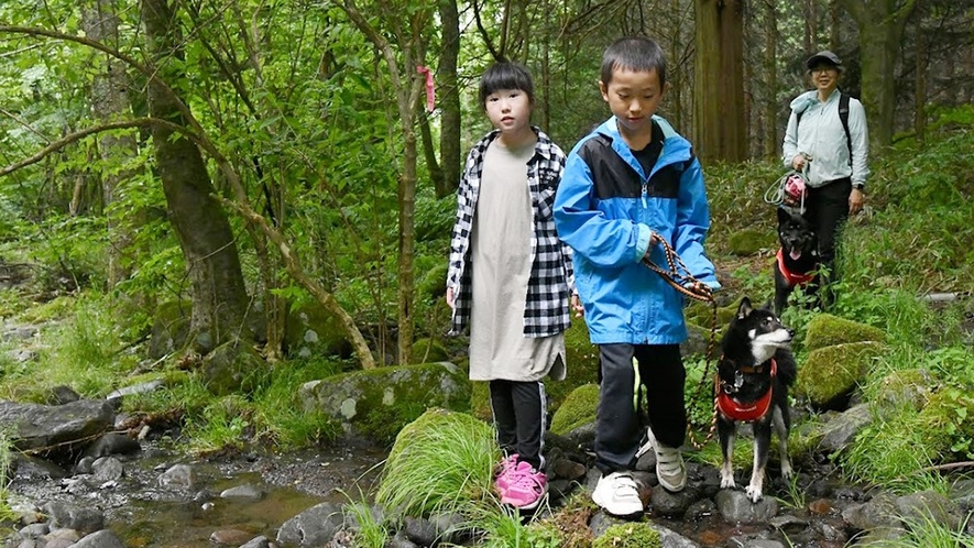 愛犬と楽しむ・森歩き