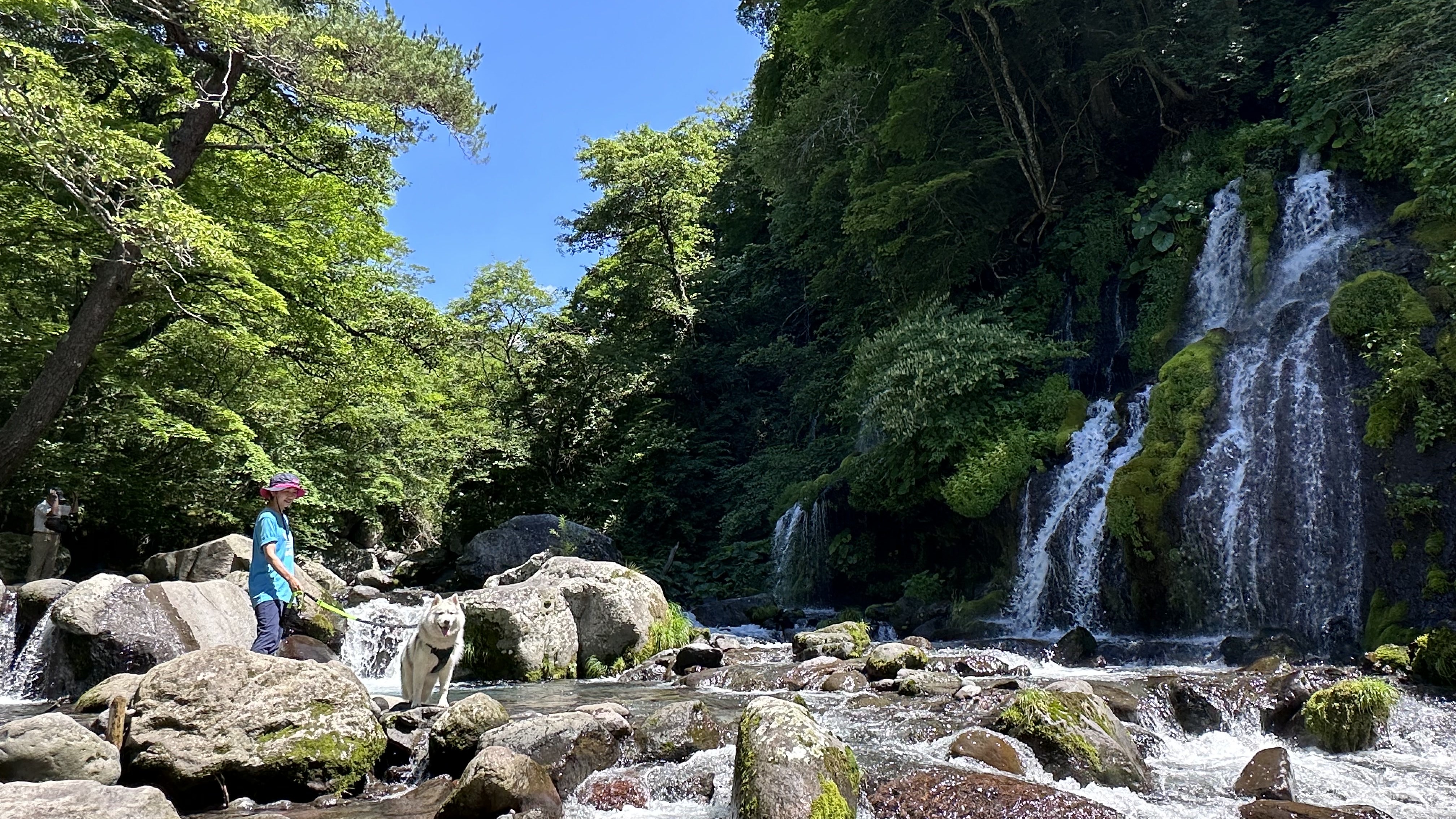 吐竜の滝　清里で一番涼しいクールスポット