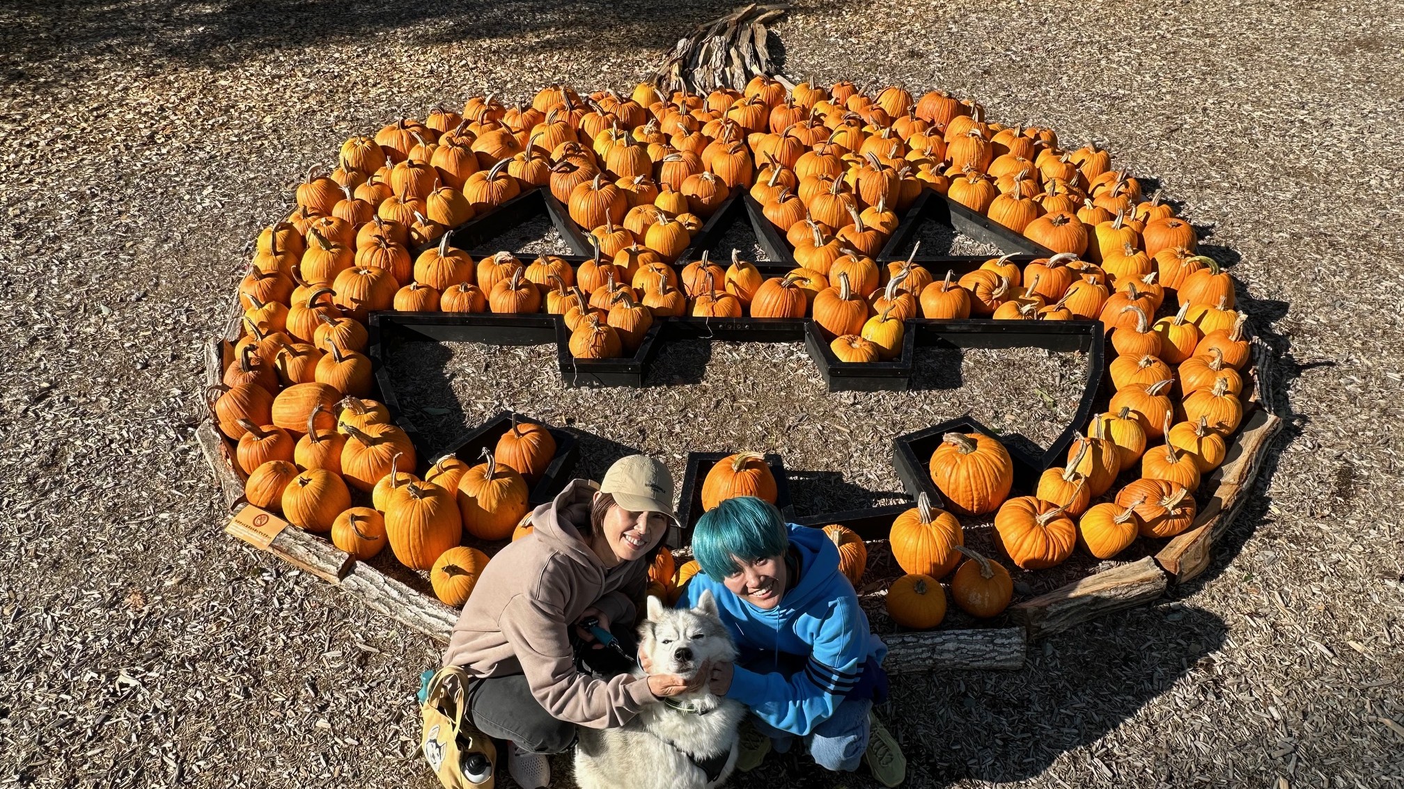 萌木の村のハロウィン