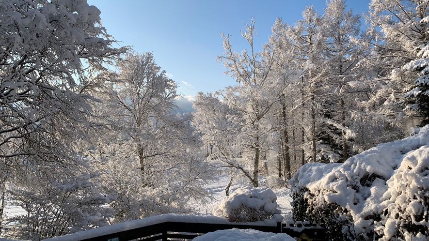 朝の雪景色