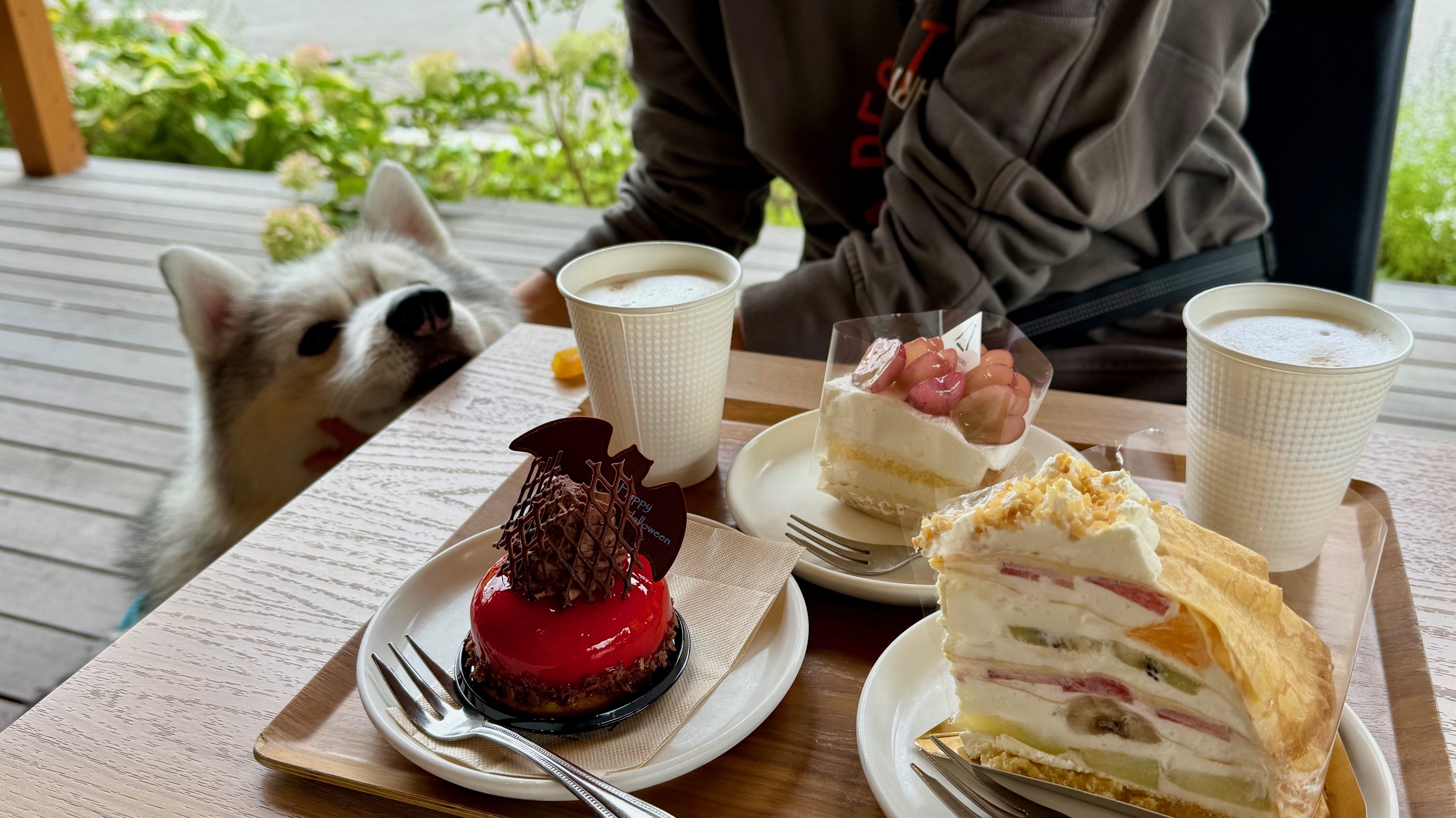 YATSUDOKI TERRACE小海