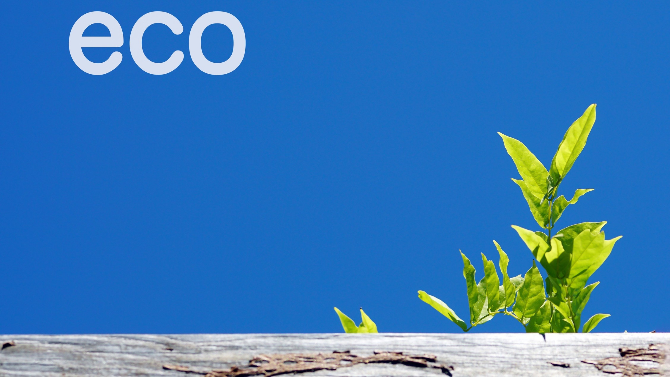 【連泊がお得】地球にも お財布にも優しい『エコプラン』♪（素泊まり）【連泊ロングステイ】楽天限定