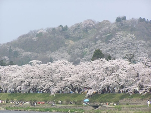 【2026 SPRINGシーズン】あきたまるごと膳１泊２食スペシャルプラン