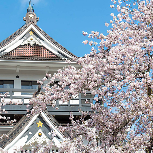 【春】横手の桜まつりは4月下旬頃～。横手公園は天守閣と桜が見られるお花見名所！