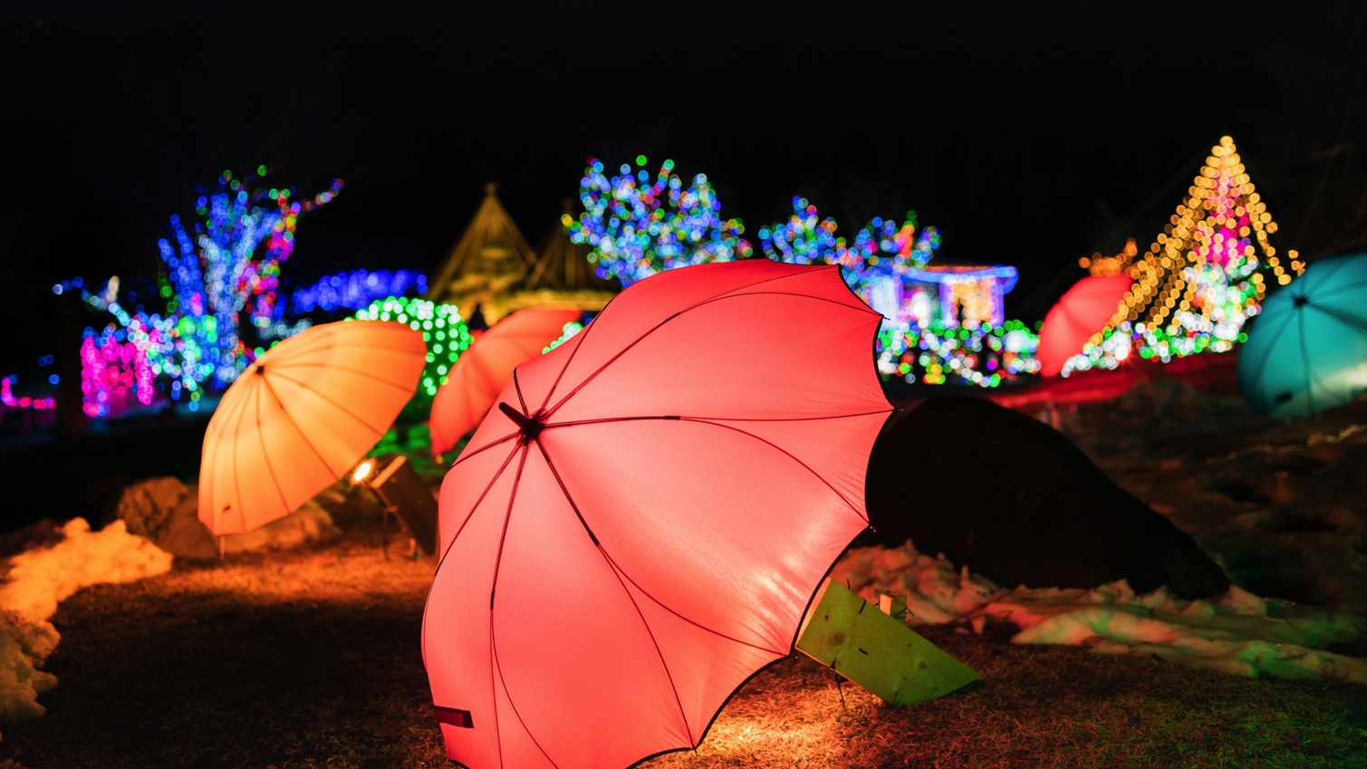 【1泊朝食付】当館から車で10分★山中湖イルミネーション≪FANTASEUM≫