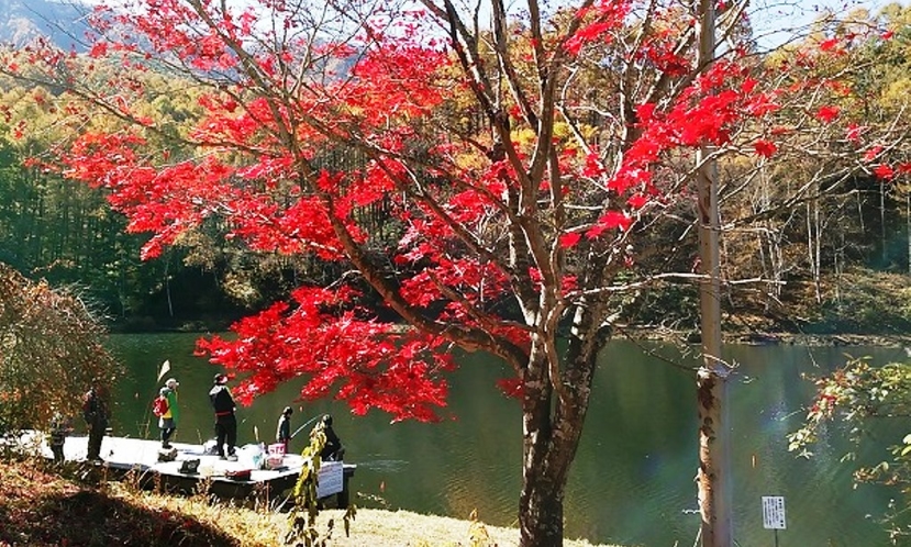 【紅葉】立岩湖
