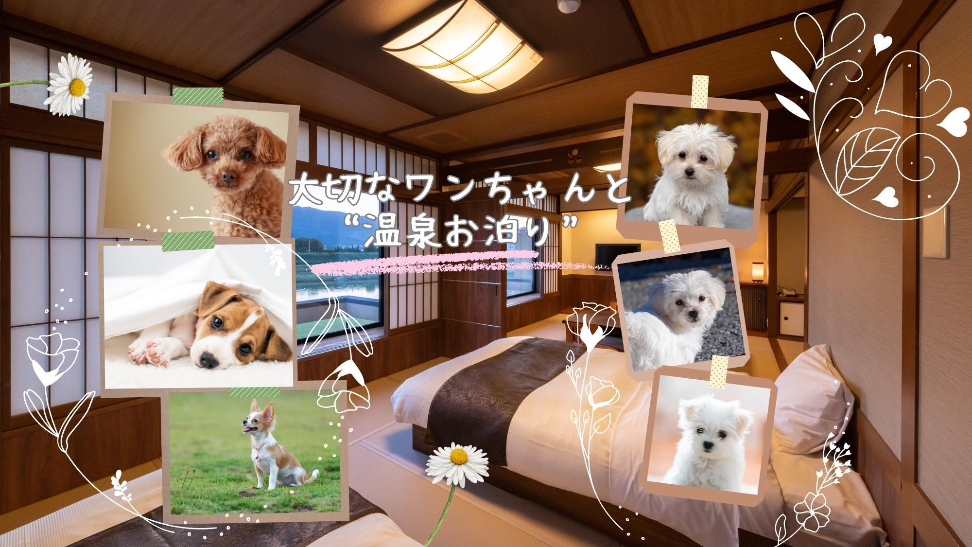 【愛犬同伴ルーム】目の前の河川敷で気持ちの良いお散歩タイム♪ワンちゃんと一緒の温泉旅＜雅会席＞