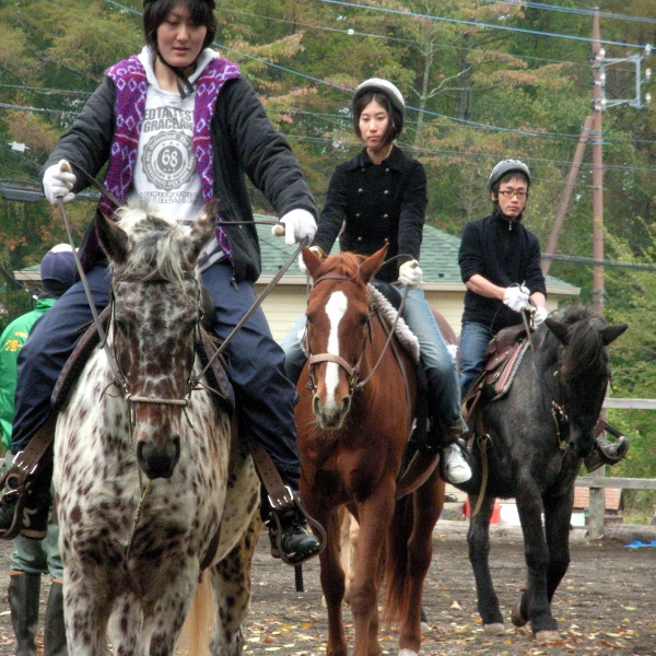 クローバー牧場乗馬