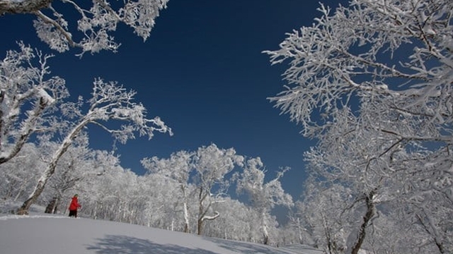 【１泊2食】１２月３１日〜１月２日年末年始（特別）プラン
