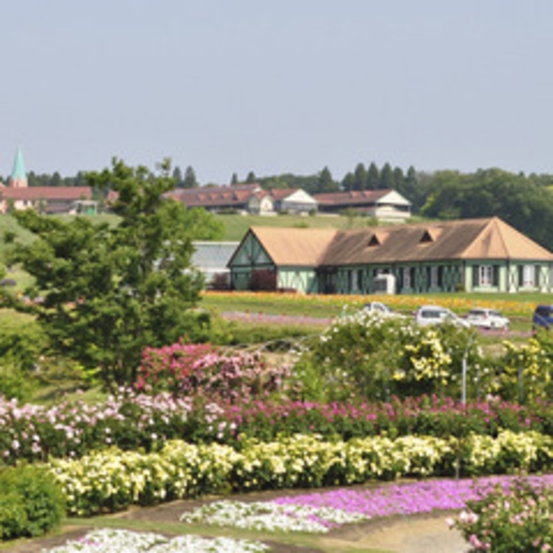 東京ドイツ村