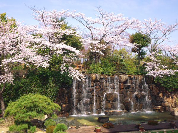 岡山国際ホテル - 写真 131