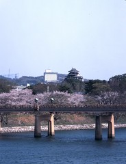 岡山城とホテル